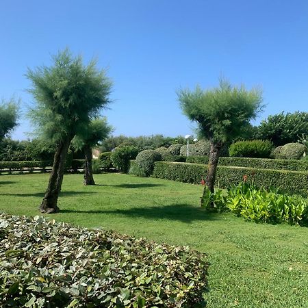 Vittoria Immobilier 4-Reglement Sur Place -Cheques Vacances Acceptes La Grande Motte Luaran gambar